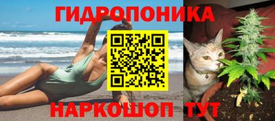 гидра Свободный