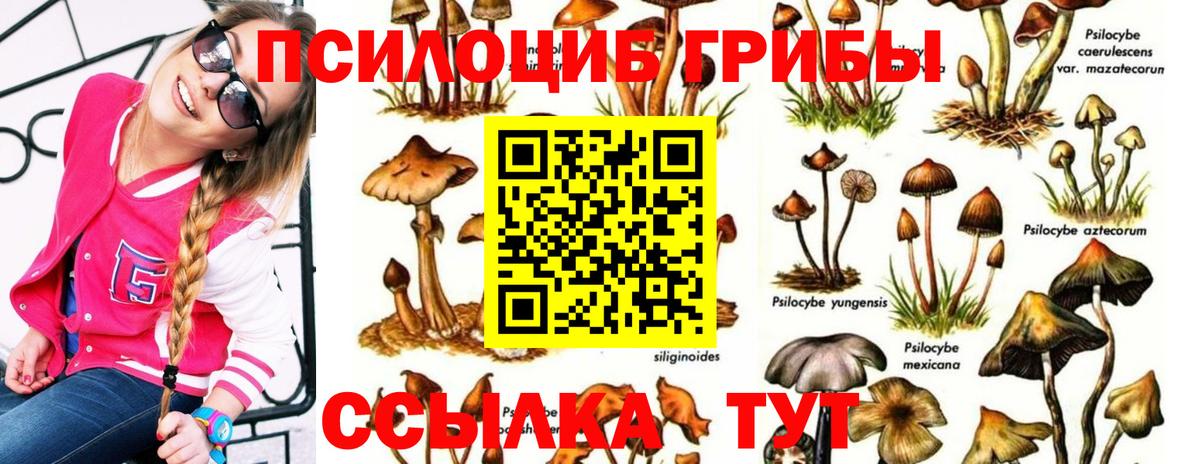 Псилоцибиновые грибы GOLDEN TEACHER  Вход с VPN  хочу   Чехов 